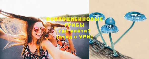 ГАЛЛЮЦИНОГЕННЫЕ ГРИБЫ Абаза