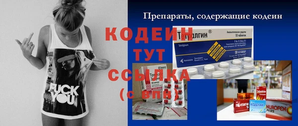 ГАЛЛЮЦИНОГЕННЫЕ ГРИБЫ Абаза