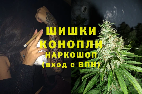 ГАЛЛЮЦИНОГЕННЫЕ ГРИБЫ Абаза