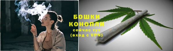 ГАЛЛЮЦИНОГЕННЫЕ ГРИБЫ Абаза