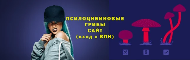 ГАЛЛЮЦИНОГЕННЫЕ ГРИБЫ Абаза