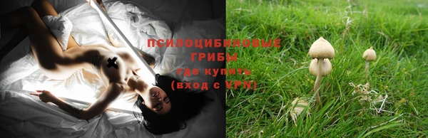 ГАЛЛЮЦИНОГЕННЫЕ ГРИБЫ Абаза