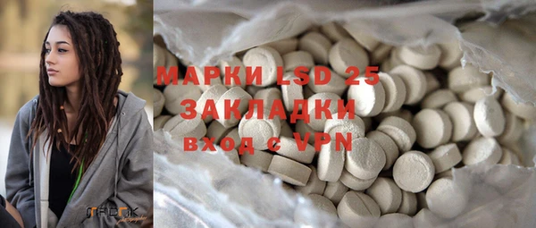 ГАЛЛЮЦИНОГЕННЫЕ ГРИБЫ Абаза