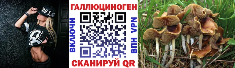 Псилоцибиновые грибы Magic Shrooms  Владикавказ 